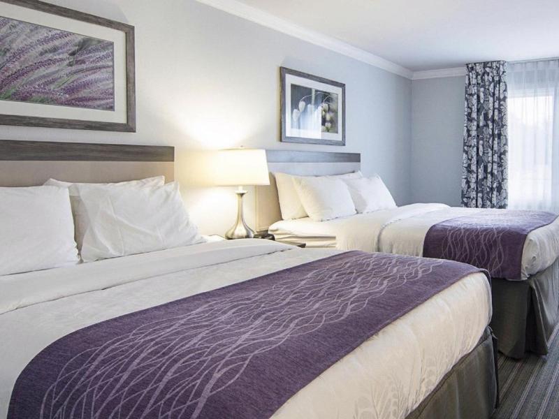 Days Inn By Wyndham Williamsburg Historic Area Εξωτερικό φωτογραφία